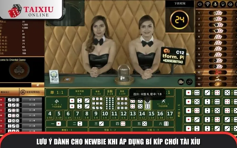 luu y danh cho newbie khi ap dung bi kip choi tai 1305 Lưu ý dành cho newbie khi áp dụng bí kíp chơi tài xỉu